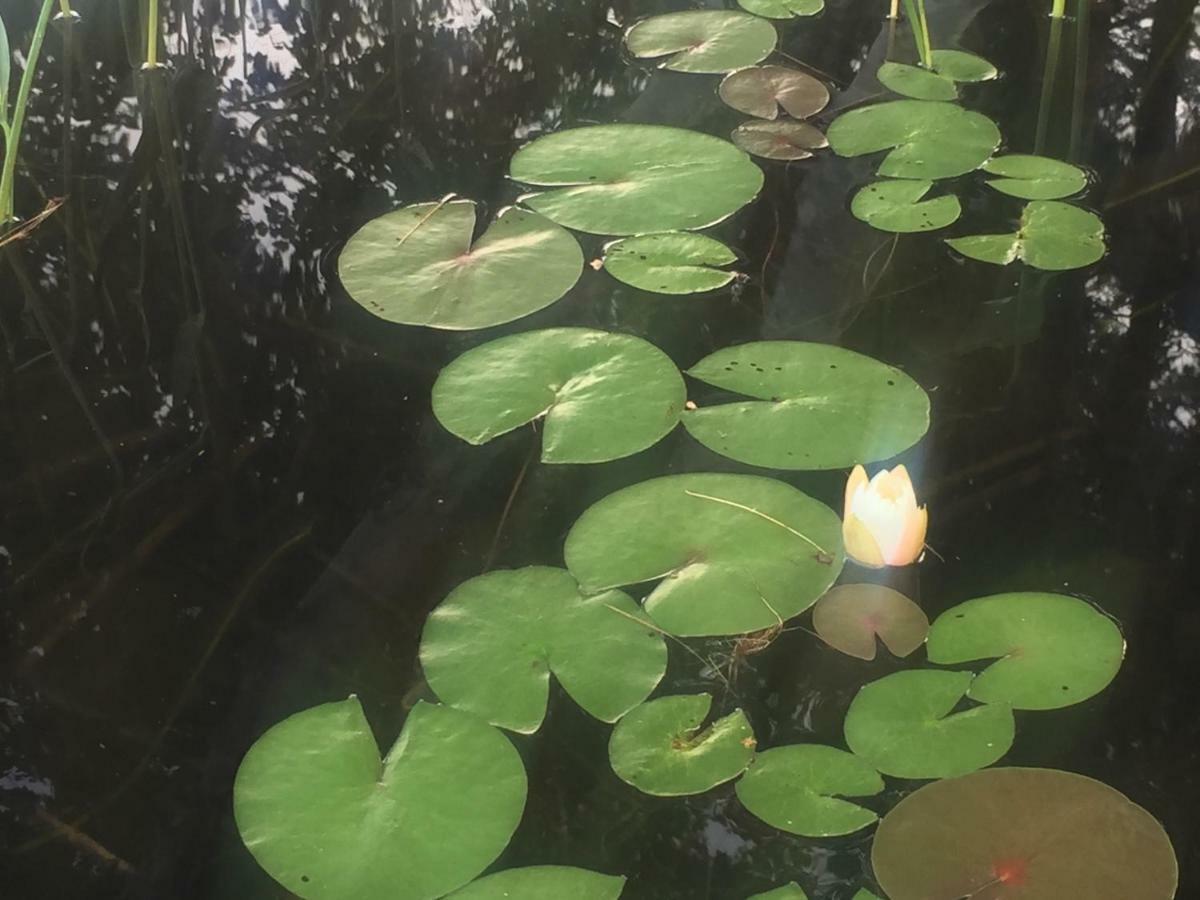 Sunny Point Resort Otter Lake Luaran gambar