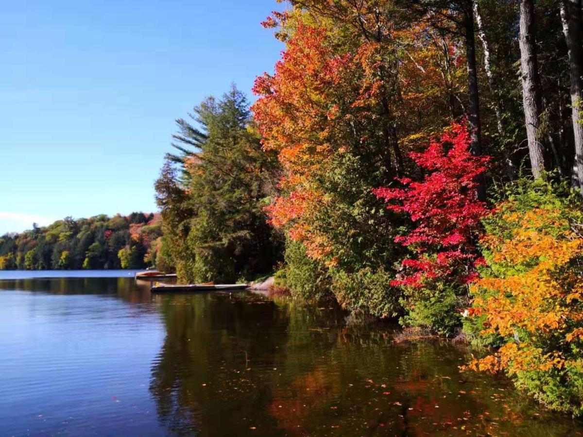 Sunny Point Resort Otter Lake Luaran gambar