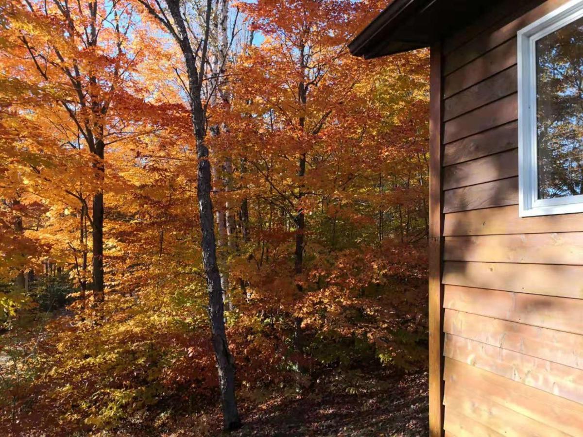 Sunny Point Resort Otter Lake Luaran gambar
